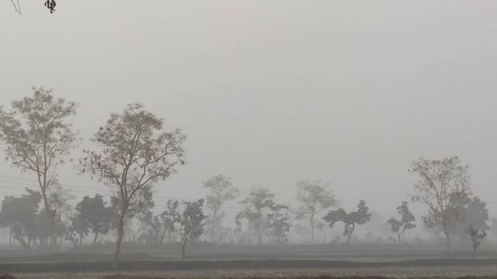 छत्तीसगढ़: 3 डिग्री तक गिरेगा रात का तापमान, बिलासपुर में 1 सेमी बारिश, 5 डिग्री लुढ़का पारा, रायपुर में आज भी छाए रहेंगे बादल 1 19 01 2024 weather bsp to 412023